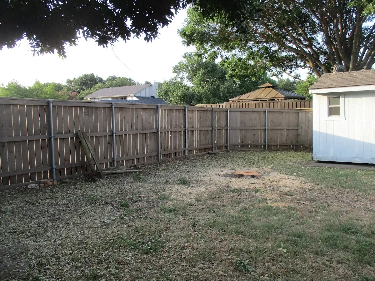 Cleared yard after professional tree removal in Saint Amant