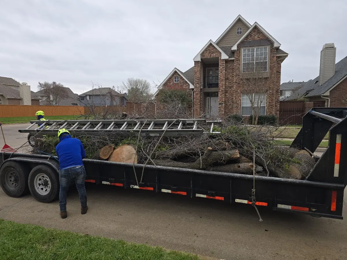 Expert Lot Clearing with proper safety equipment in Saint Amant